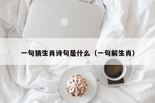 一句猜生肖诗句是什么（一句解生肖）